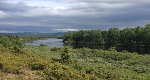 tisleia_elvestrekk_2014