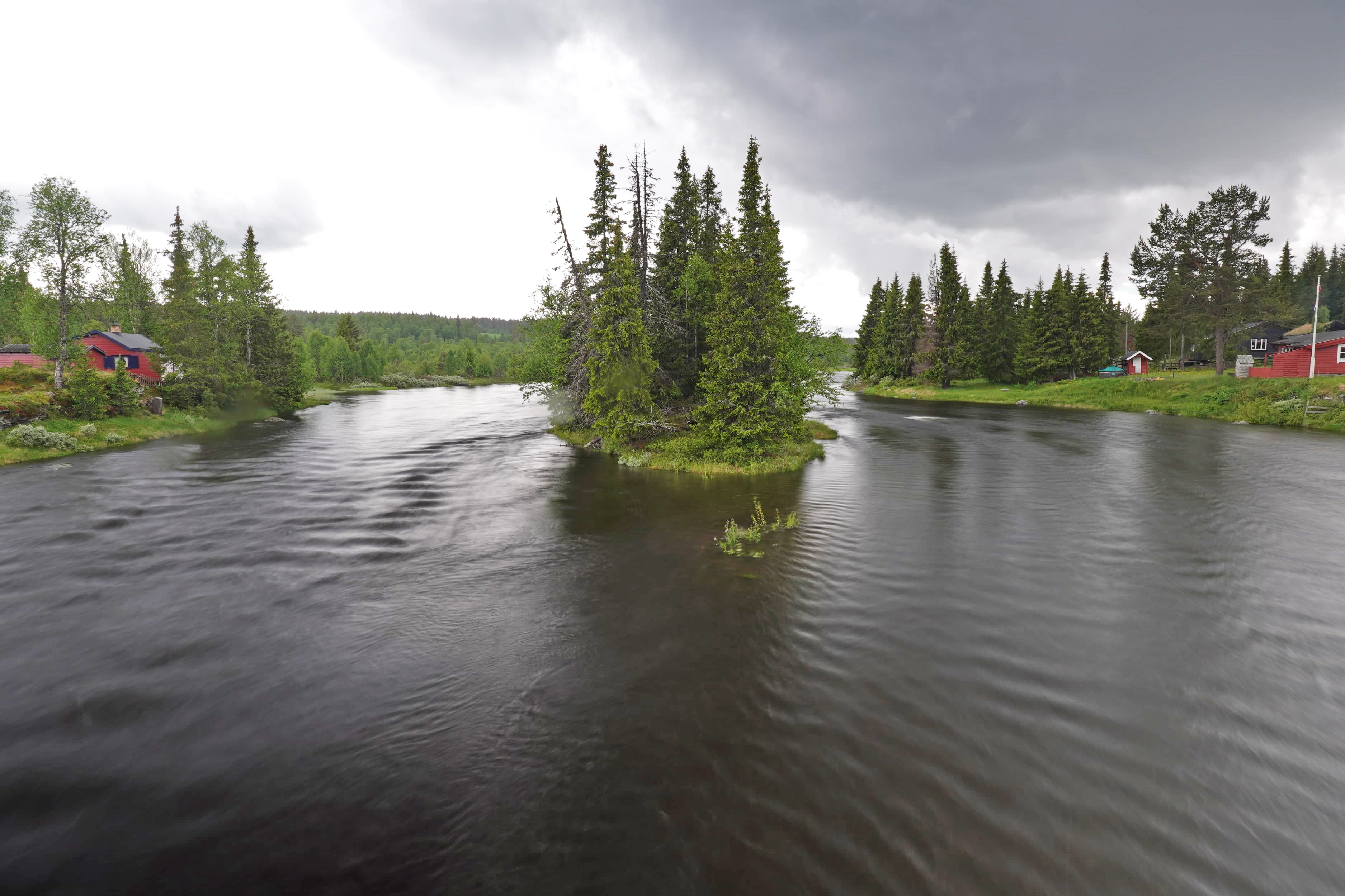 Tisleia 23jun T Molstad 2