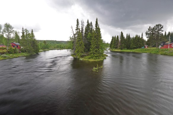 Tisleia 23jun T Molstad 2